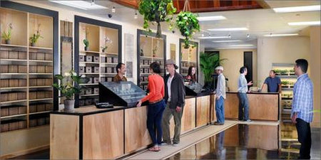 3 Ways to Avoid Losing Cash in the Legal Marijuana Industry